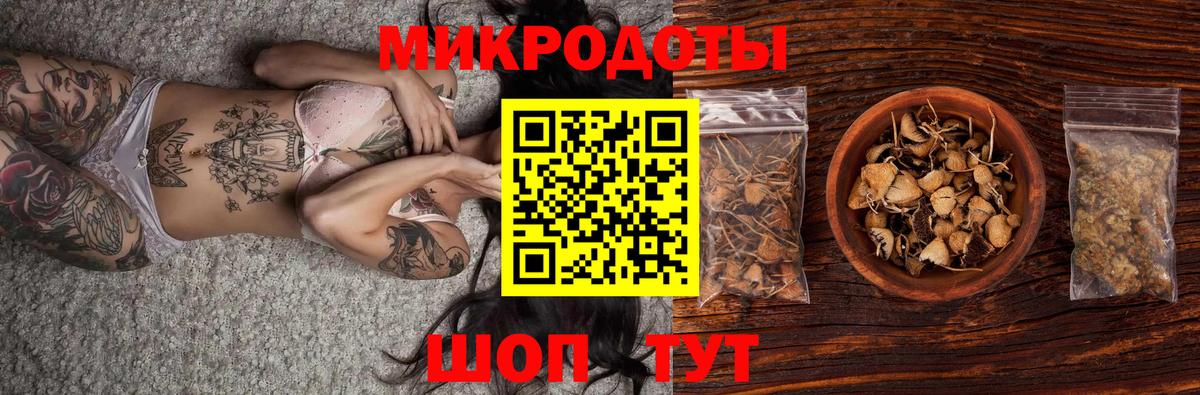 Галлюциногенные грибы Psilocybine cubensis Бор