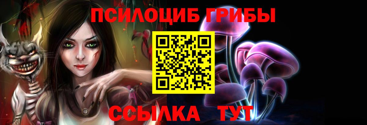 Псилоцибиновые грибы MAGIC MUSHROOMS  Вход с VPN  Бор  Псилоцибиновые грибы Cubensis 