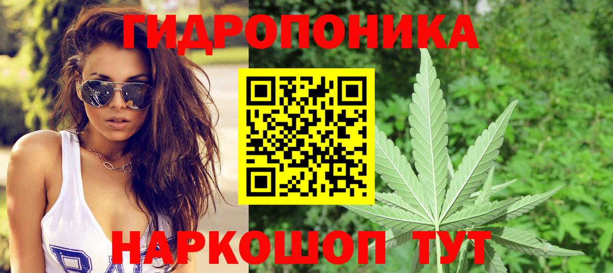 Бошки Шишки White Widow  Бошки марихуана White Widow  Бор  Вход с VPN  Канабис тримм 